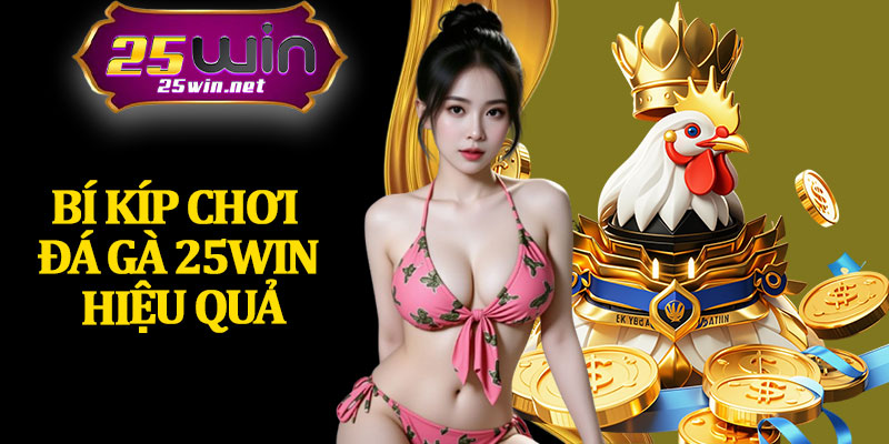 Bí Kíp Chơi Đá Gà 25Win Hiệu Quả