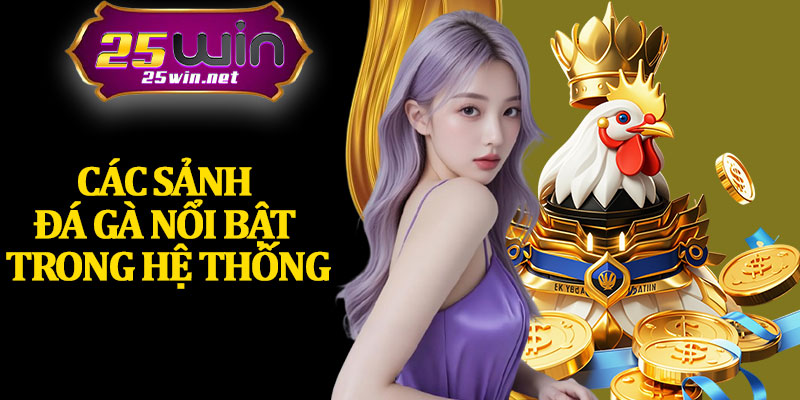 Các Sảnh Đá Gà Nổi Bật Trong Hệ Thống