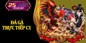 Đá Gà Trực Tiếp C1